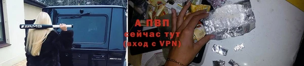трава Абаза
