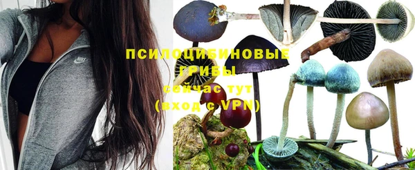 сатива Алзамай