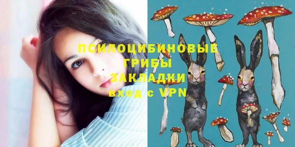 бошки Абинск