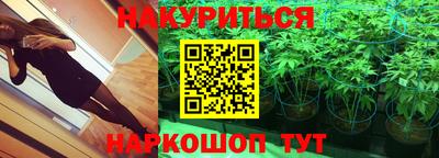 трава Ноябрьск
