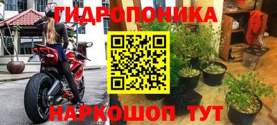 трава Ноябрьск